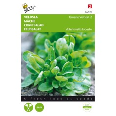 Vårsalat / feldsalat frø, Groene Volhart 2 - Buzzy