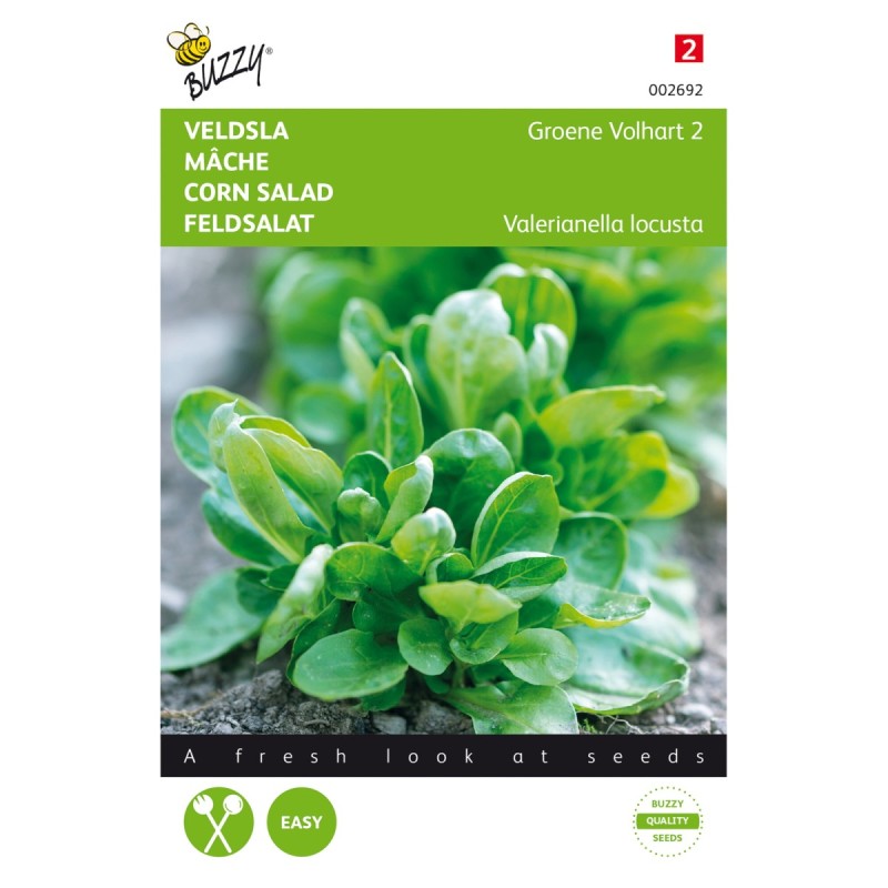 Vårsalat / feldsalat frø, Verte à coeur plein 2 - Buzzy