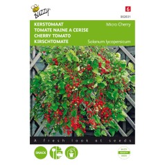 Dværg Cherrytomat Frø,...