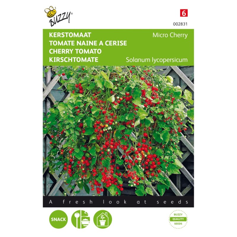 Dværg Cherrytomat Frø, Gourmandise red - Buzzy