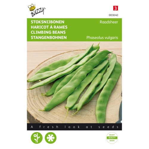 Stangbønne frø, Raadsheer - Buzzy