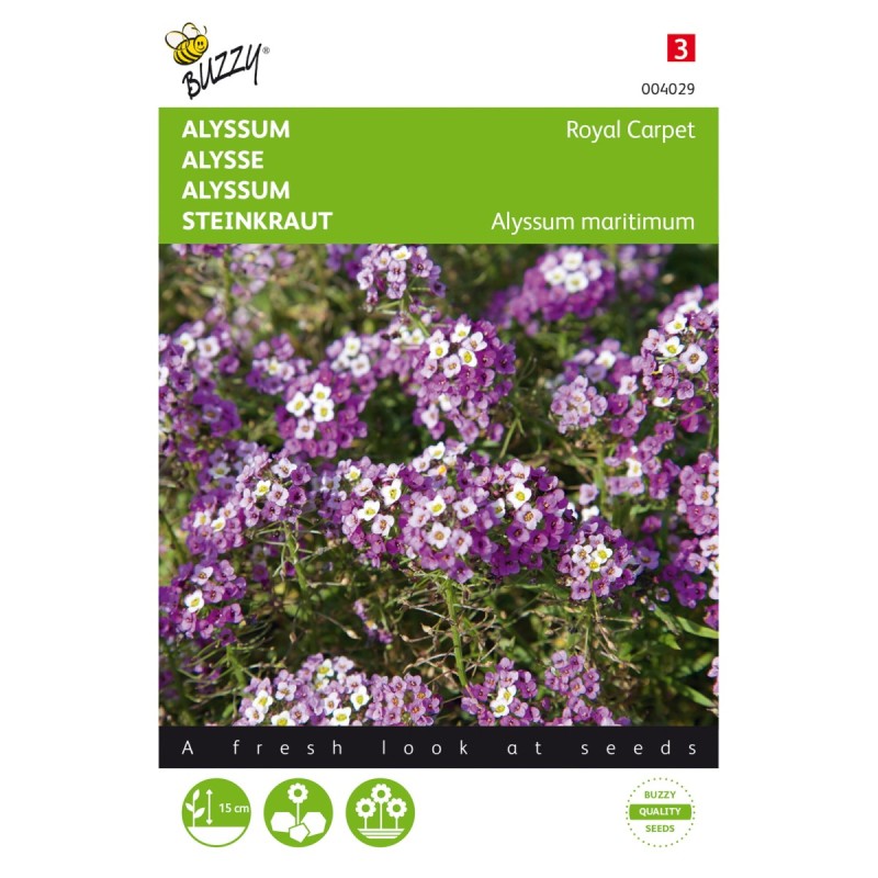 Biblomme frø, Royal Carpet - Buzzy