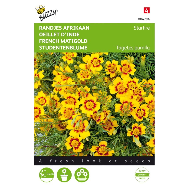 Tagetes frø, Starfire - Buzzy