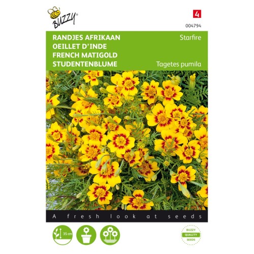 Tagetes frø, Starfire - Buzzy
