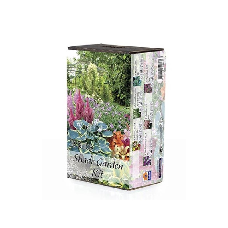 Blomsterknolde Mix - Shade Garden - 10 knolde