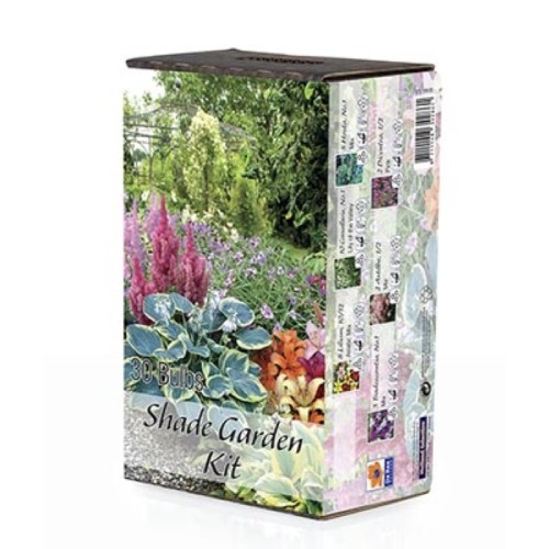 Blomsterknolde Mix - Shade Garden - 10 knolde