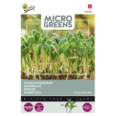 Mikrogrønt frø, Hjulkrone - Buzzy