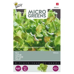 Mikrogrønt frø, Salat mix - Buzzy