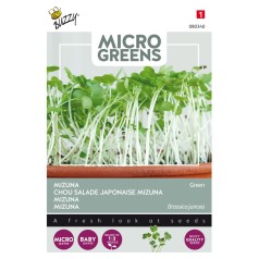 Mikrogrønt frø, Mizuna - Buzzy