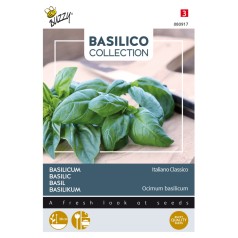 Basilikum frø, Italiano Classico - Buzzy