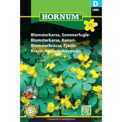 Sommerfugle blomsterkarse