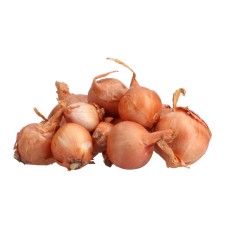 Skalotteløg Biztro - Sætteløg 250g