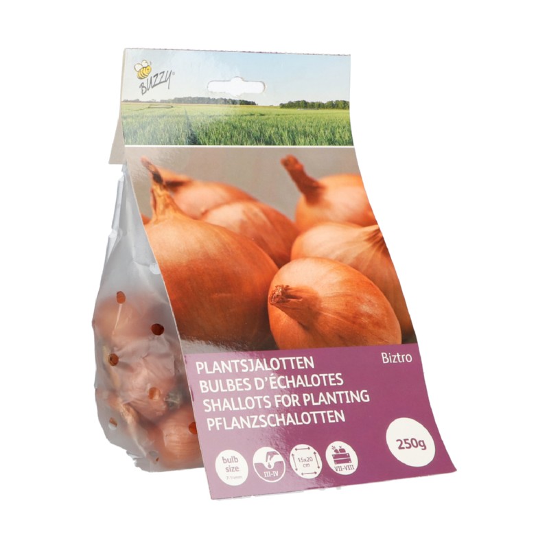 Skalotteløg Biztro - Sætteløg 250g