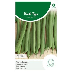 Buskbønne frø, Prelude 250g