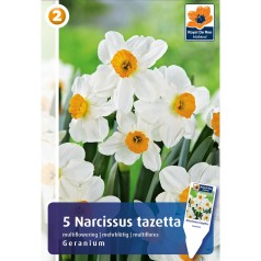 Påskeliljeløg Geranium - Narcissus Tazetta 5 Løg