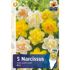 Påskeliljeløg - Narcissus Double Mix 5 Løg