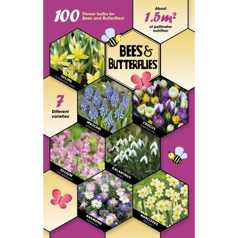 Blomsterløg mix - Bees & Butterflies Collection, 100 løg