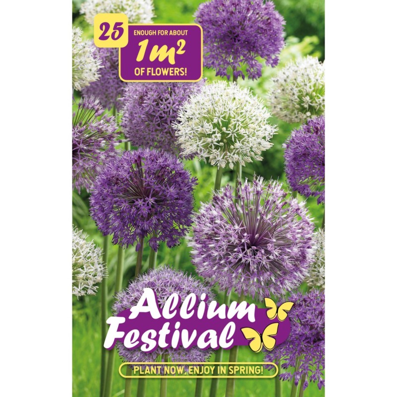 Prydløg - Allium Festival Collection, 25 løg