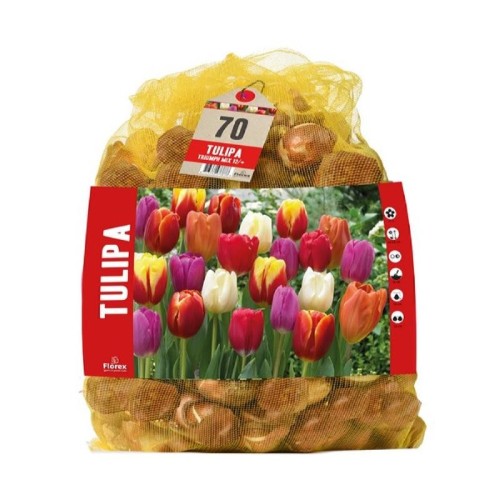 Tulipanløg, blanding - 70 Løg