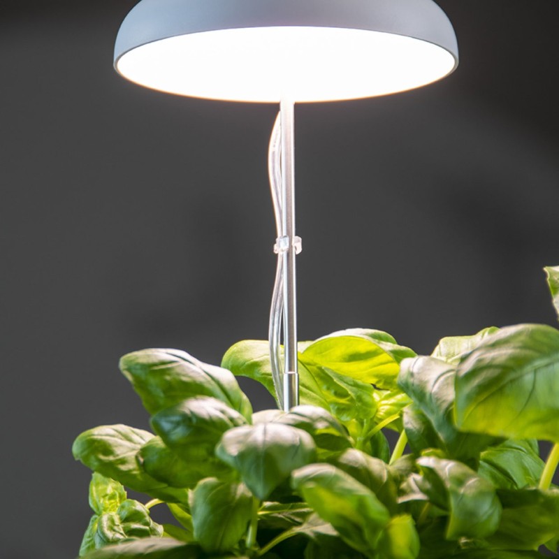 Vækstlampe til potteplante
