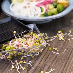 Spirebakker til mikrogrønt 2-pk