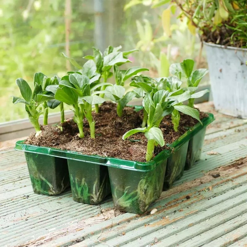 Såbakke, 9 huls 'Visiroot' - sæt á 8 bakker