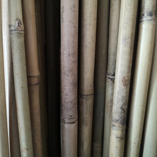 5 stk. Bambuspinde 180 cm.