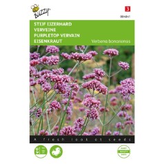 Kæmpejernurt frø, Verbena bonariensis