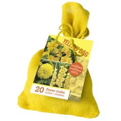 Blomsterløg mix - Yellow Bag - 20 løg