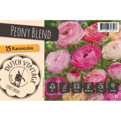 Ranunkel Peony Blend - Dutch Vintage - 15 Løg