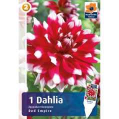 Dahlia Dinnerplate Decorative Red Empire / Georgin