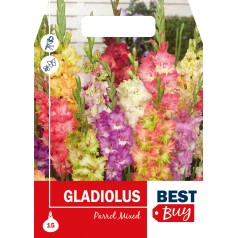 Gladiolus Parrot Mix - 15 Løg