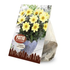 Dahlia Happy Days Lemon /...