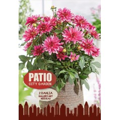 Dahlia Gallery Art Nouveau...