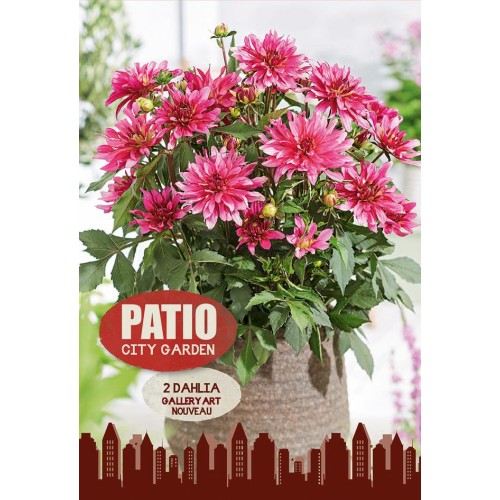 Dahlia Gallery Art Nouveau / Georgin - Patio City Garden - 2 rodknolde