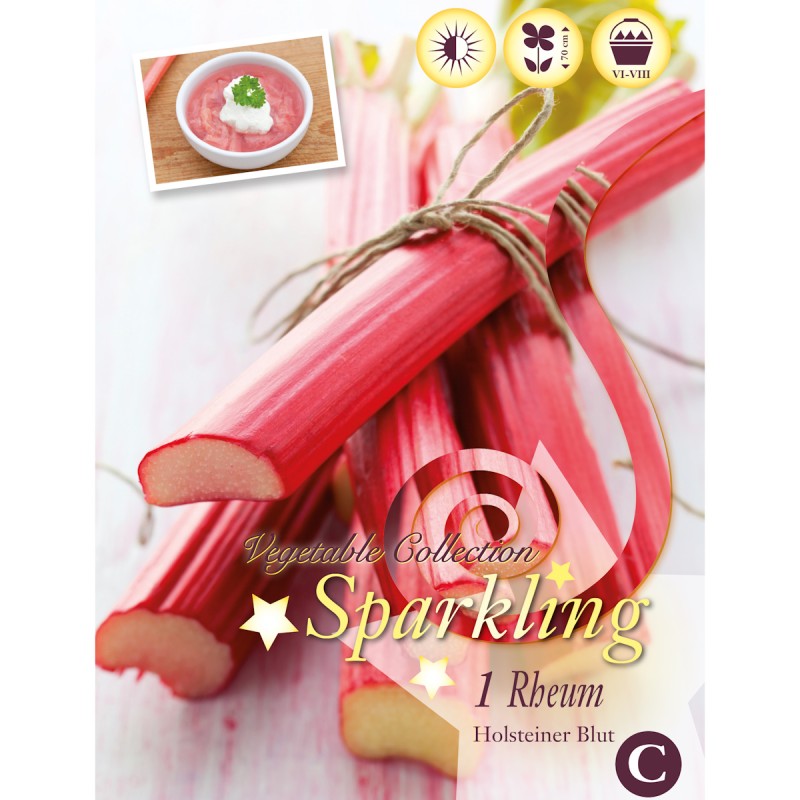Rabarber, Holsteiner Blut - 1 knold (Barrods)