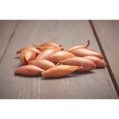 Bananskalotteløg, Longor 500g