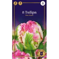 Tulipanløg - Pink Vision, Supreme 8 løg