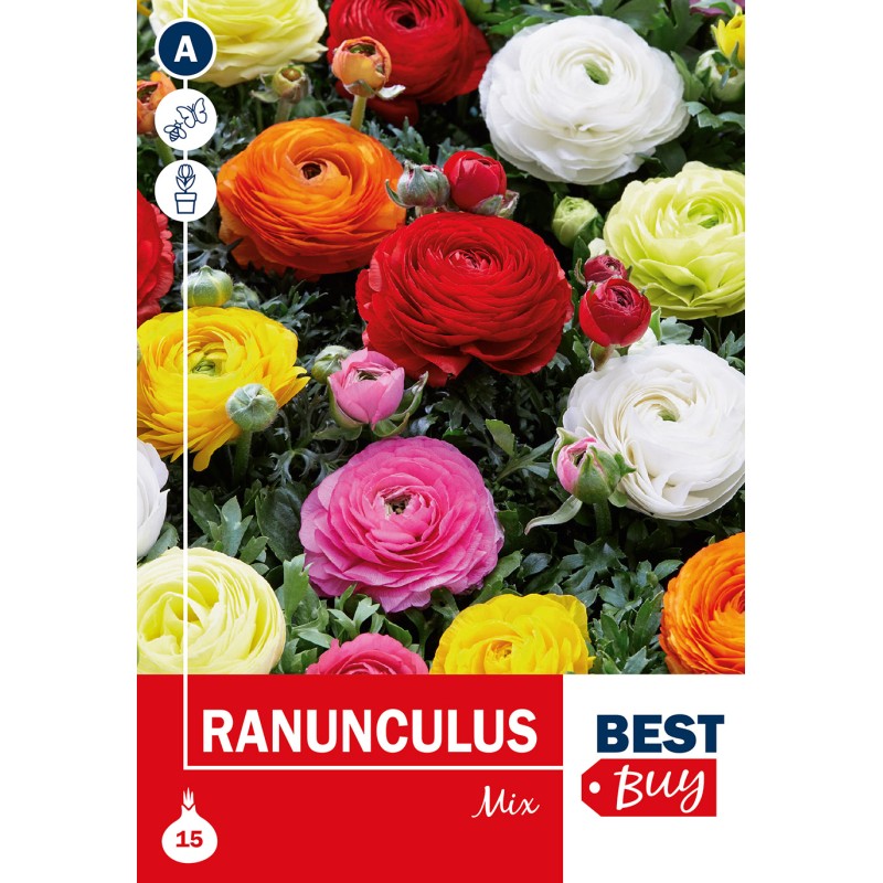 Ranunkel Mix - Ranunculus, Best Buy 15 løg