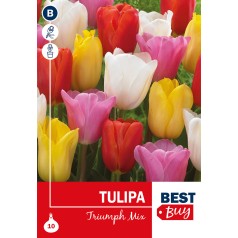 Tulipanløg - Triumph Mix, Best Buy 10 Løg