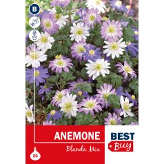 Anemone - Blanda mix, Best Buy 25 løg