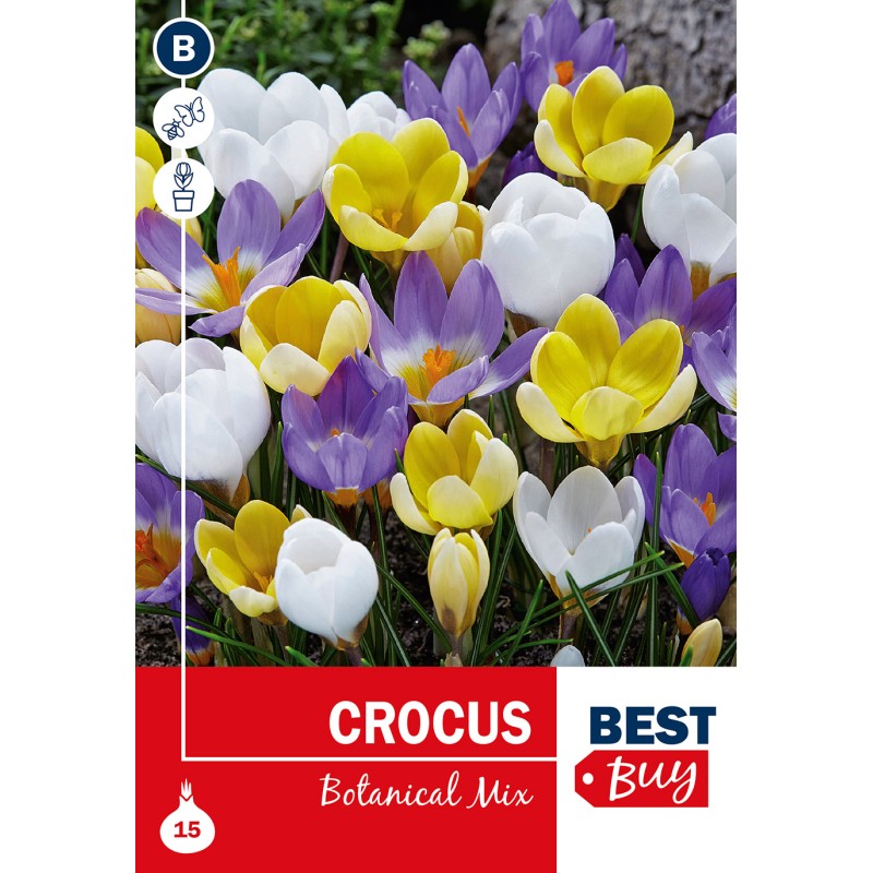 Krokusløg - Botanical Mixed, Best Buy 35 løg