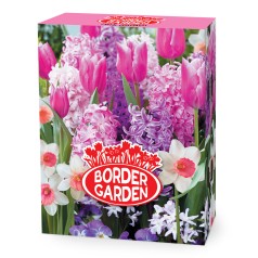 Blomsterløg mix, Border Pink Garden 40 løg