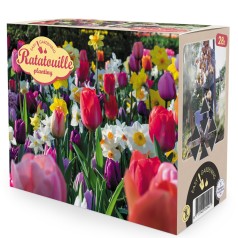 Blomsterløg mix, Ratatouille, Rainbow tones 28 løg