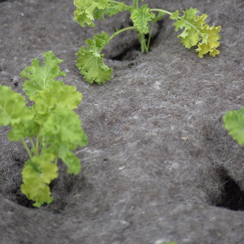 Markdug uld 120x80 cm