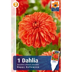 Dahlia Decorative Happy Halloween / Georgin