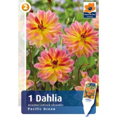 Dahlia Decorative Pacific Ocean / Georgin