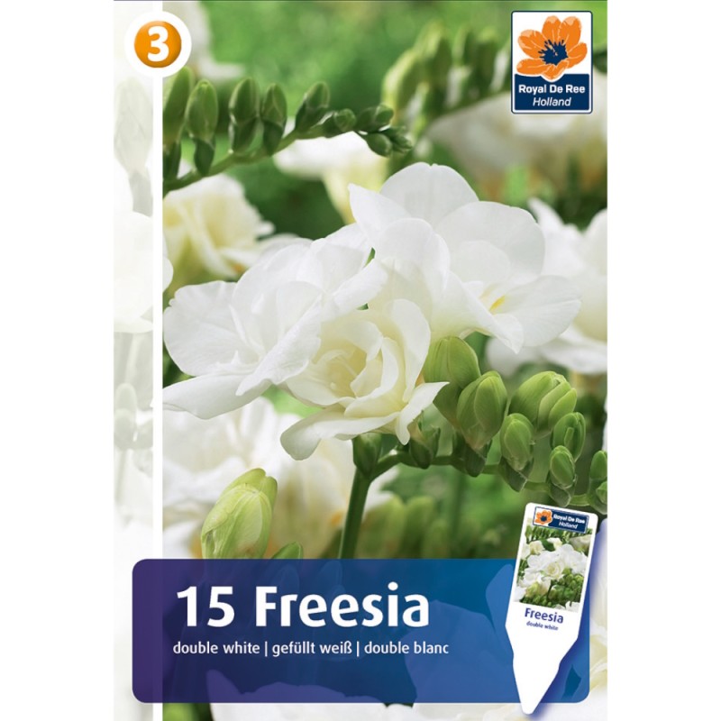 Freesia Double White - 15 løg