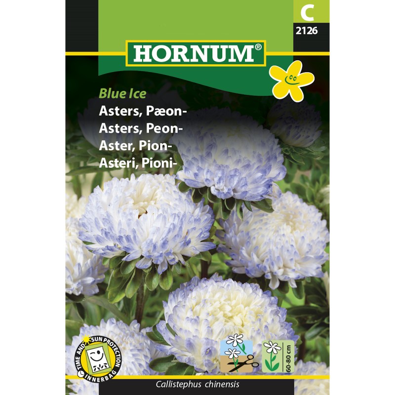 Pæon asters frø, Blue Ice
