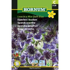 Djævlen i Busken frø, Love...